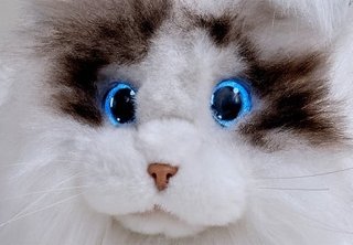 ついに“猫型ロボット”爆誕?「猫を飼いたくても飼えない」猫好きの願いがAIで現実に