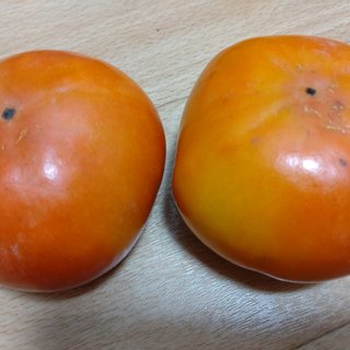 だいたひかる、１歳長男「自閉症の心配」医師に相談　母親としての思いつづる