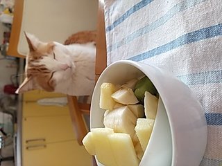 だいたひかる、１歳長男「自閉症の心配」医師に相談　母親としての思いつづる