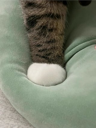 皆さん今日もお疲れ様です☕