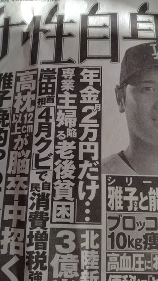 3号の年金月に2万老後貧困