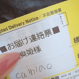 日菜あこ、キラキラネームの娘が困ること「宅急便の伝票が…」