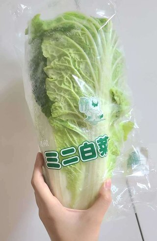 夫が買ってきた白菜にツッコミの嵐！　「違う、そうじゃない」「こんなん罠だろ」