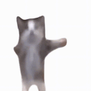 猫ミーム流行ってるね