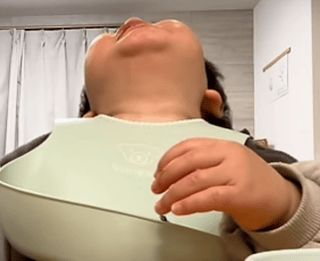 りっくん日記(YouTube)