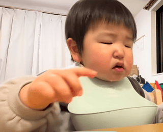 りっくん日記(YouTube)