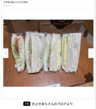 「何がおかしいと思わなかった」元アイドル、子どもが商品を触り「全買取」に