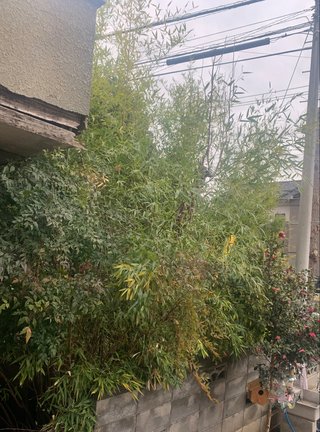 これって苦情入れていいよね？