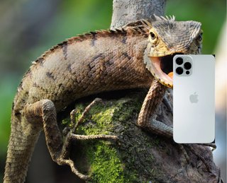 芸能人トピ小原さんアンチって