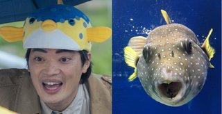 似ている有名人