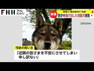 おまえ達もうわびすけのこと忘れてるでしょ