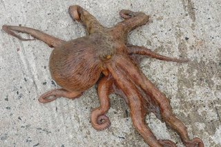 原始時代のママスタに立ちそうなトピ