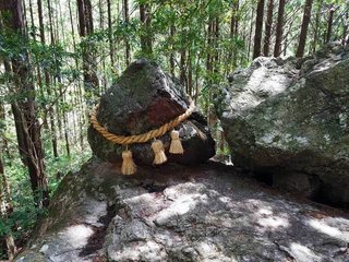 ゴトゴト石破壊した大学生集団に怒り感じるの私だけなの？