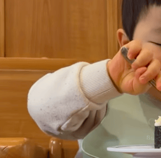 りっくん日記(YouTube)