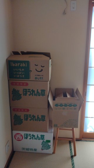 引っ越しで段ボールが必要