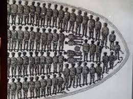 これ色々食べられるから良いね。