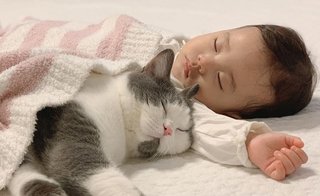猫と赤ちゃん