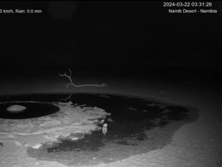 砂漠に設置された人工水飲み場を見守るライブカメラ配信が癒されると話題