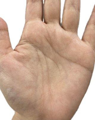 私の手相占いしてください！！