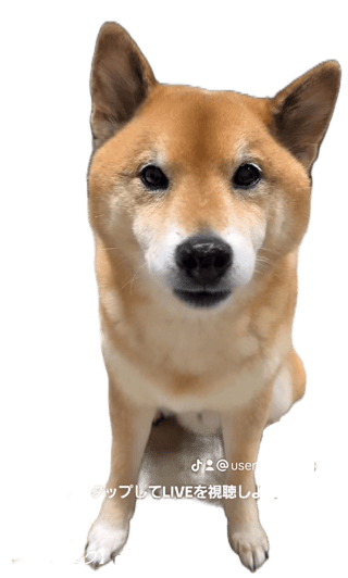 レッドソックス「水原一平なんて雇用したことないし岡島の通訳だったこともない」