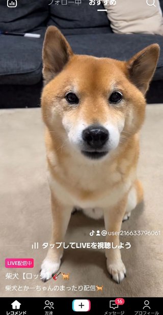 漢字３文字しりとり