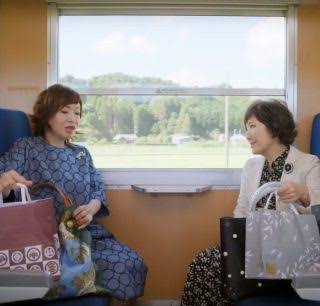 ミナペルホネンって服