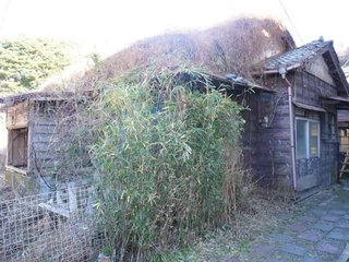 このらぶチャンネル見てる人いる？