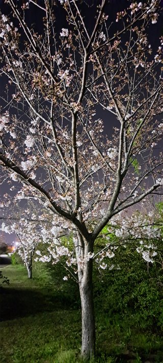 漢字３文字しりとり