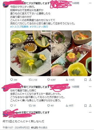 41歳マタニティ旅行すっごい、炎上してるねX