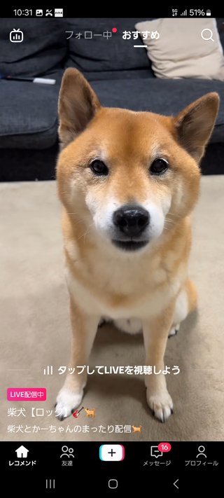 ○食べ物しりとり