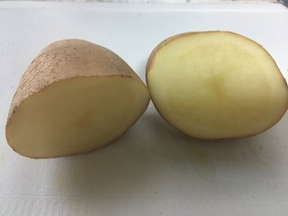 冷蔵庫で約1年眠ってたじゃがいもって食べられる？