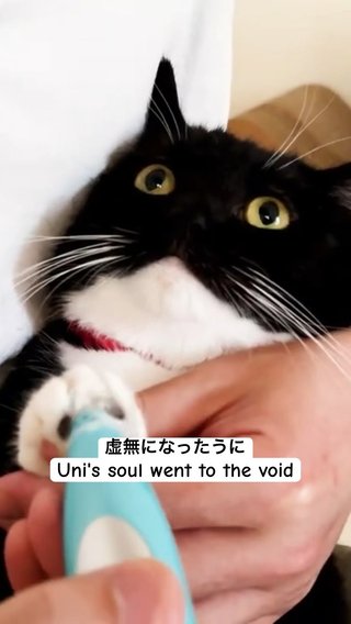 ペットに食べ物の名前をつけるとしたらどんなのがある？