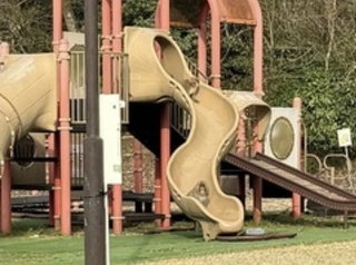 富山県 クマの次は猿！？公演で遊んでる猿・・・