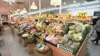 レタス6割高にんじんキュウリも約3割高…続く深刻な野菜値上がり　来週以降徐々に安くなる見込み