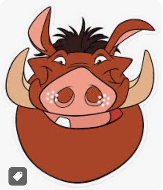 ちいかわが流行りまめきちまめこが流行らなかった理由は？