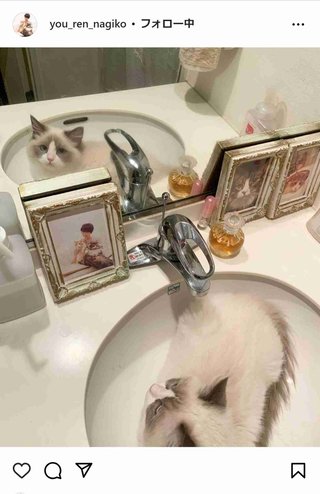 遠野なぎこ、実家の壮絶な飼育環境明かし「私も同罪です。一生をかけて償っていかなければと」