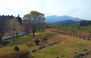 &#x{11:F8E2};なんでもいｰから&#x{11:F8E2};