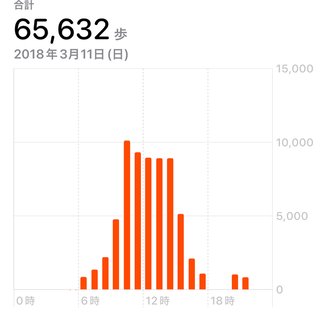 ジョギング ウォーキングしてるひと〜