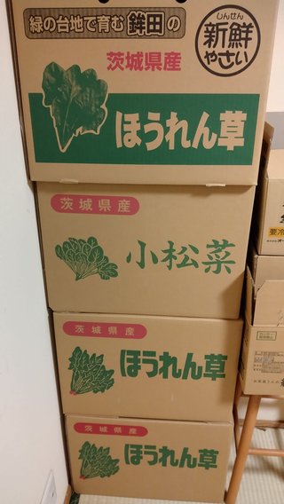 茨城県ほうれん草小松菜1番＼(^o^)／