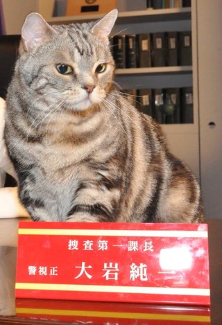 テレビ朝日系【警視庁･捜査一課長スペシャル】