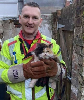 救助された猫の表情が不機嫌すぎた。「なに余計なことしてくれたんだ」と言わんばかりの怒り顔【画像】