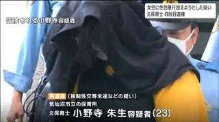 複数の女児に性的暴行を繰り返し逮捕された市職員、性的暴行で8回目の逮捕【宮城県・気仙沼市】
