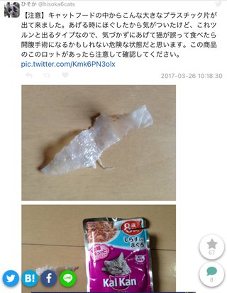 《CIAOちゅ～る製造元》いなば食品の“女帝”稲葉優子会長の“猫ネグレクト”