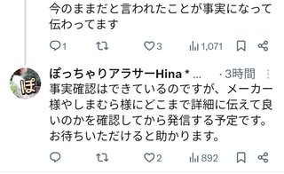 ぽっちゃりアラサーHina