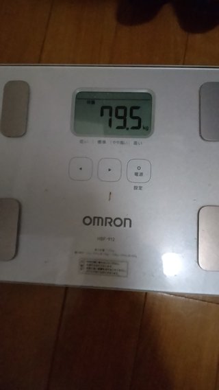 4月28日までに80キロを目指すトピック