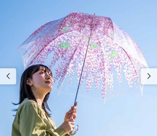 プレゼントで貰うとしたらこの中でどの色の藤の花がいい？