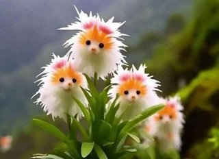 AI生成の「かわいい子猫のような花」の存在を信じ、偽の種を購入してしまう人が続出