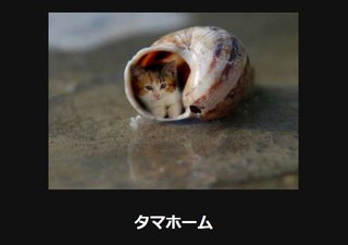 家って大きくなくていいよね