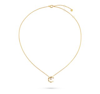 90万円もするネックレスが欲しい