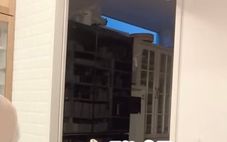 辻希美ちゃんに対する私の本音